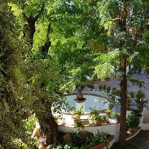 Patio Andaluz Siglo Xvi Sevilla